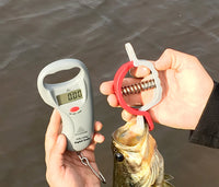 Báscula digital para peces 99 lb/ 45 kg y pinza para boca de pez.